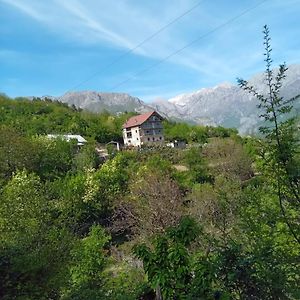 Bujtina Aliaj Hotel Tropoje Exterior photo