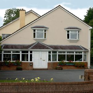 Ardree House B&B Killarney Exterior photo