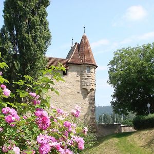 Weingut Gaestehaus Weigand Hotel Iphofen Exterior photo