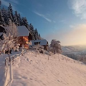 Ferienwohnung In Emmentaler Bauernhaus, Vogelsang Lauperswil Exterior photo