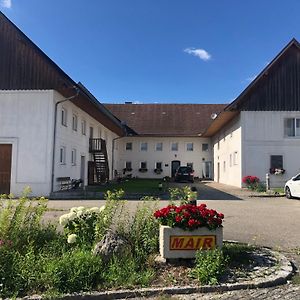 Babsi Appartments - Leben Am Land Wels Exterior photo