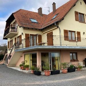 Au Piemont Des Vosges Apartment Gertwiller Exterior photo