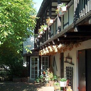 Hotel Garni & Oma'S Heuhotel 'Pension Zur Galerie' Barby Exterior photo