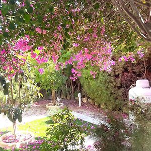 Serene Garden Near Sea Apartment Meneou Exterior photo