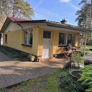 Ferienhaus Im Wald Villa Borkwalde Exterior photo