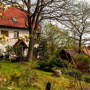 Domek Pod Debami Villa Brodnica Dolna Exterior photo