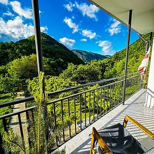 Family Hotel Mountain Panorama Borjomi Exterior photo