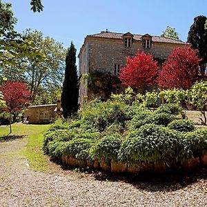 La Maison Forte Bed & Breakfast Montaut  Exterior photo