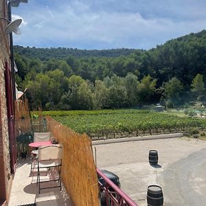 Appartement Au Calme Au Milieu Du Vignoble De Gigondas Exterior photo