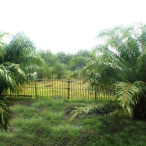 Yaoisland Resort And Farm Ko Yao Yai Exterior photo