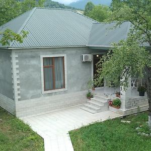 Gabala Rent House Apartment Exterior photo