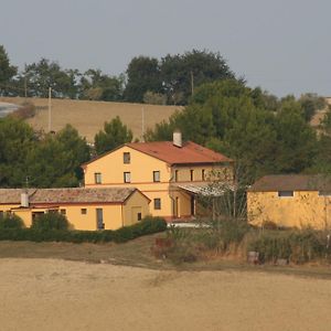 Il Campetto Country House Bed & Breakfast Senigallia Exterior photo