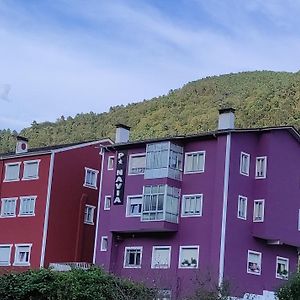 Pension Navia A Pontenova Hotel Exterior photo