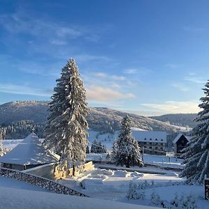 Pensiunea Mountain Pearl Hotel Desesti Exterior photo