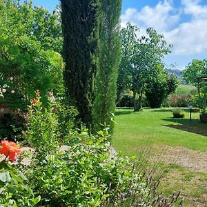 Chianti - Lovely Cottage With Parking & Garden! Castelnuovo Berardenga Exterior photo