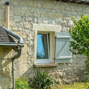 Longere Spa & Bien-Etre Villa La Chapelle-sur-Loire Exterior photo