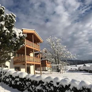 Chalet Veenroos Villa Neukirchen am Grossvenediger Exterior photo