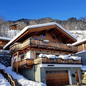 Gruenerstein Chalet Jungbrunnen Villa Bramberg am Wildkogel Exterior photo