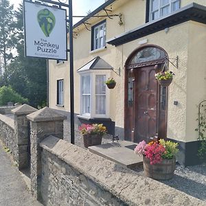 The Monkey Puzzle Hotel Bunclody Exterior photo