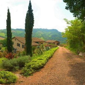 Ferienwohnung "Il Gufo" Von "La Casa Di Petra" Ripatransone Exterior photo