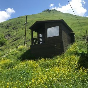 Sno Cottages Twins Stepantsminda Exterior photo