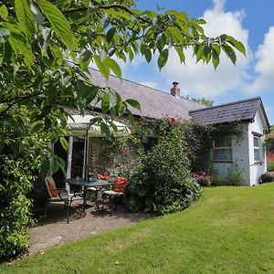 Trawsnant Cottage New Quay  Exterior photo