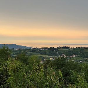 Guesthouse Green Istria Truske Exterior photo