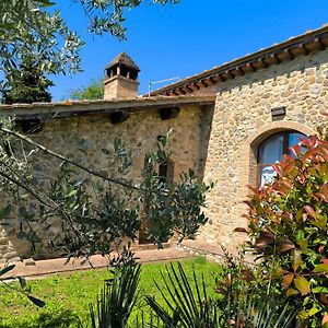 La Casina Nella Fattoria Apartment Siena Exterior photo