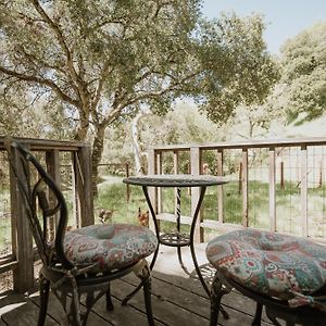 Cottage Charm In The Santa Lucia Mountains Carmel Valley Exterior photo