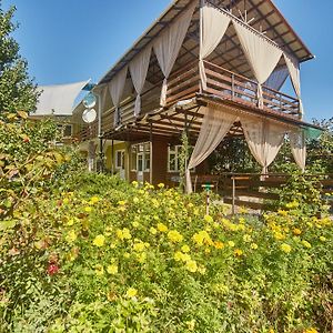 Green Guest House Chornomorsk Exterior photo