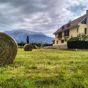 Hostal Turbon Campo  Exterior photo