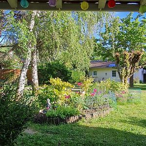 Les Cedres Bleus Bed & Breakfast Saint-Medard-de-Mussidan Exterior photo