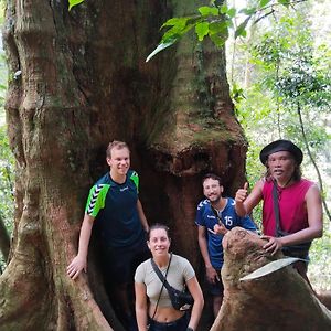 Jhony'S Backpacker-Guest House Only Stay Here Book Treking With Us Bukit Lawang Exterior photo