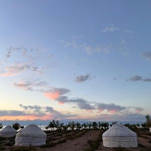 Aisun Eco Yurt Camp Hotel Tossor Exterior photo