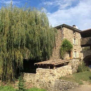 La Maison Du Ruisseau Villa Saint-Etienne-de-Valoux Exterior photo