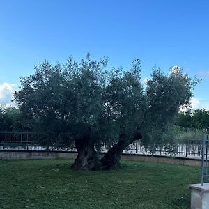 Il Melograno Hotel Spoleto Exterior photo