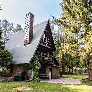 Chatka Sikorowka-Sauna - Bizoreda Villa Kielce Exterior photo