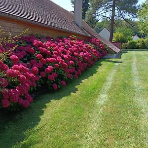 Gite De Miprovent Hotel Lamotte-Beuvron Exterior photo