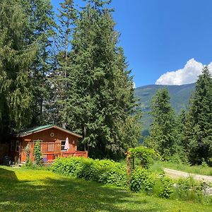 The Kootenay Cottage Balfour Exterior photo