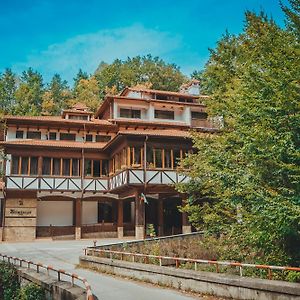 Hotel Bozhentsi Chernevtsi Exterior photo