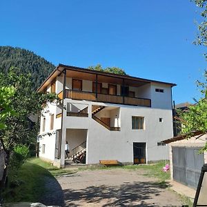 Taisya Guest House Borjomi Exterior photo