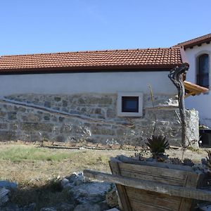 Casa Da Lima - Nestled In Nature On Santiago'S And Fatima'S Path, Close To Coimbra And Rabacal Hotel Alvorge Exterior photo