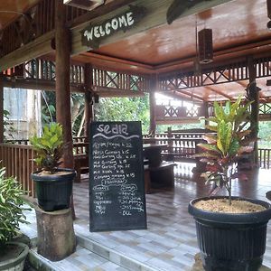 Umiyuki Guesthouse And Restaurant Bukit Lawang Exterior photo