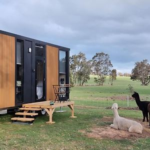 Grampians Views Moyston By Tiny Away Villa Exterior photo