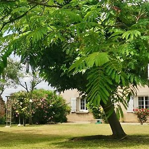 La Canoliere - Chambre D'Hote Noemie Bed & Breakfast Lafox Exterior photo