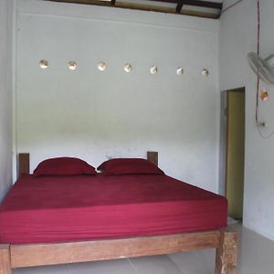 Jungle Guest House Only Trekking With Us Bukit Lawang Exterior photo