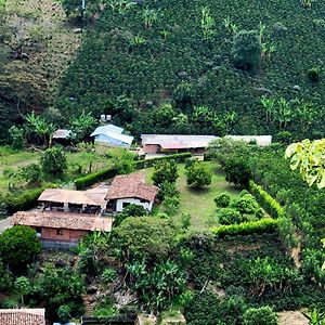 Finca Hostal Valle Claro Hotel Betania Exterior photo