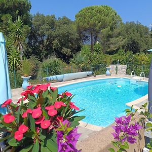 Chambre D'Hote Cosy Hotel Carbuccia Exterior photo