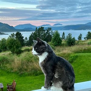 Wake Up To A Beautiful View And Smell Of The Sea Apartment Kristiansund Exterior photo