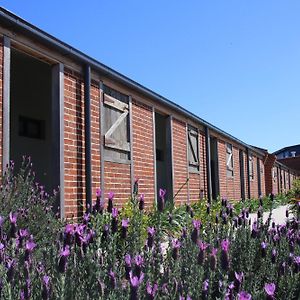 Dusty Hill Vineyard - Moffatdale Hotel Exterior photo